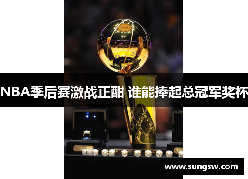 NBA季后赛激战正酣 谁能捧起总冠军奖杯